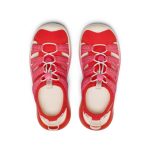 Women's Whisper Lite Sandal  |  Grenadine/Pink Lemonade