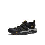 Men's Newport H2 Sandal Wide | Black